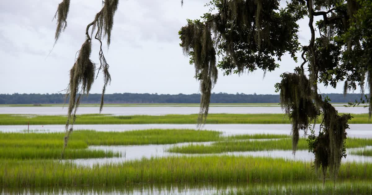 Local SEO in Bluffton: What a Small Business Actually Needs (and What's Just Noise)